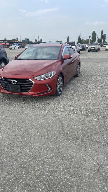 хондай елентра: Hyundai Elantra: 2016 г., 2 л, Автомат, Бензин, Седан