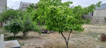 Həyət evləri və villaların satışı: Salam sexsi evimizi satib tecili kocuruk 8 sotda 5 otaqli kamunallari — 3