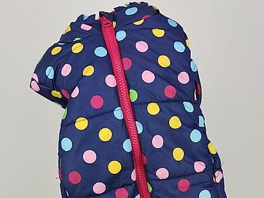 bluza lindex: Kurtka, Liegelind, 3-6 miesięcy, stan - Bardzo dobry — 6