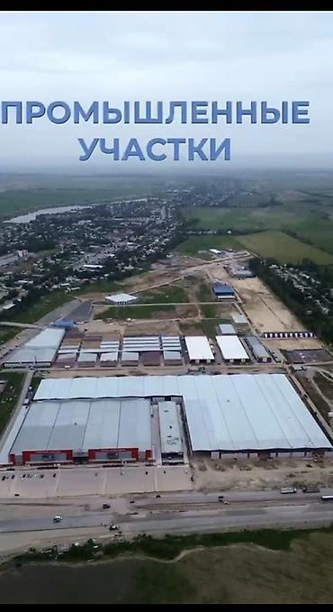 65 соток, Для бизнеса, Красная книга