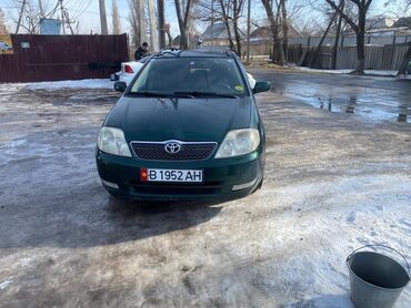 Toyota: Toyota Corolla: 2003 г., 1.6 л, Механика, Бензин, Универсал