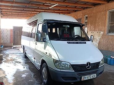 Mercedes-Benz Спринтер: 2000 г., 2.9 л, Механика, Дизель, Бус