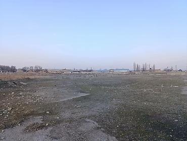 archa group: Для сельского хозяйства, Красная книга, Тех паспорт — 3
