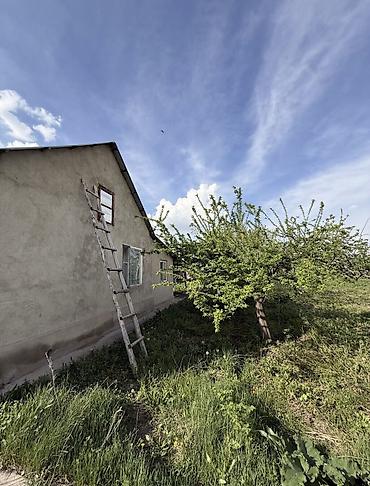 работа склад: 3 комнаты, 80 м², 7 соток, Кызыл-Туу, Собственник — 3