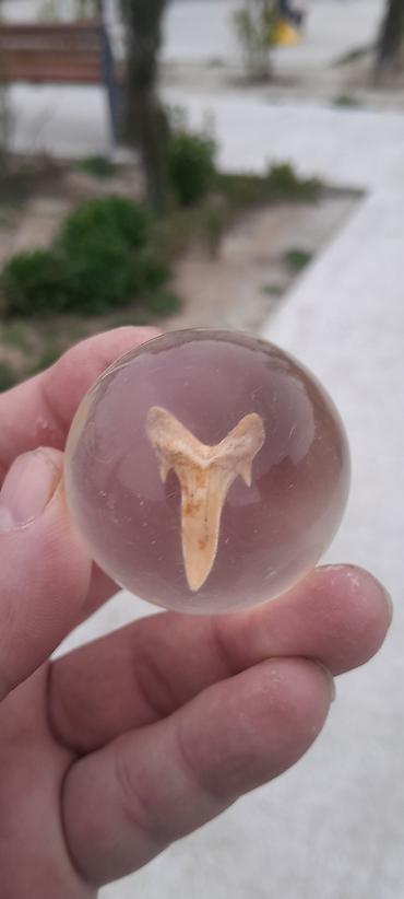 Antik akula dişi.natural
Şəffav kűrənin icində lalafo.az -da Antik akula dişi.natural
Şəffav kűrənin icində