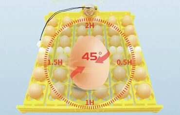 ремонт промышленного оборудования: Автоматический лоток-переворачиватель для инкубатора Маторчик 12v в