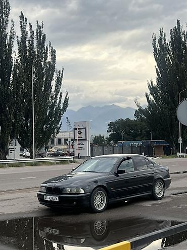 bmw x5 3 дизель: BMW 5 series: 2002 г., 2.5 л, Механика, Бензин, Седан — 3