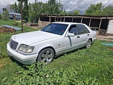 сидения ман: Mercedes-Benz S-Class: 1996 г., 3.6 л, Механика, Бензин, Седан — 3
