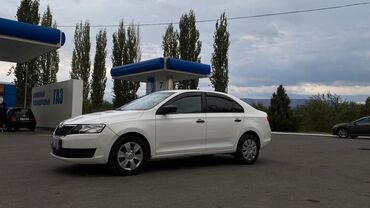 шторка на авто: Skoda Rapid: 2015 г., 1.6 л, Механика, Бензин, Хэтчбэк