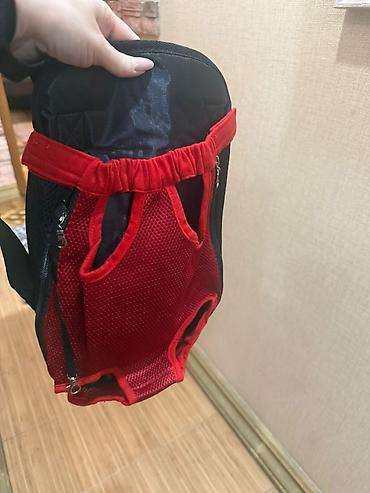 it sekili: Balaca it/pişik üçün ön tərəfdən daşıma çantası (pet carrier) - — 2