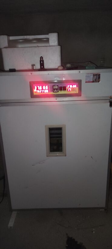 Heyvanlar üçün mallar: 1056yumurtaliq inkubator satılır yenidən təmir olunub ehtiyac olmadığı