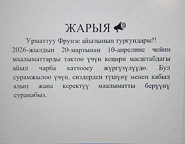 Баран, овца: Продаю | Овца (самка) | Меринос | Для разведения | Матка — 12