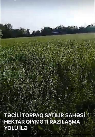 mingecevirde torpaq satisi: Mülkiyyətçi — 3