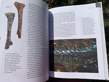 Другие книги и журналы: Книга «Динозавры» Новая, покупали в Букингем, нигде не порвано, не — 5