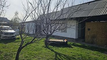Продажа коттеджей и домов: 🏙️ Продаётся: Участок с домом — 5 соток 📍 Локация: Бишкек, ж/м Ак-Орго — 1