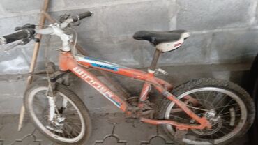 велосипед лебединовка: AZ - Children's bicycle, 2 дөңгөлөктүү, Башка бренд, 9 - 13 жаш, Колдонулган