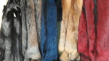 реставрация меховых изделий в бишкеке: Выделанные шкуры лис разных цветов,пошив меховых