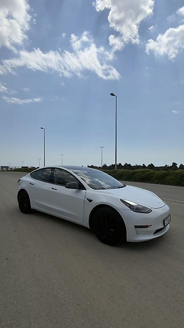 Tesla: Tesla Model 3: 0.1 l | 2022 il 62000 km Sedan — 19