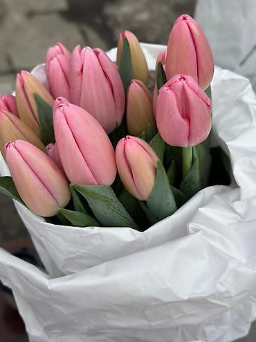 Букеты из живых цветов: ТЮЛЬПАНЫ ОПТОМ от 100шт Голландские привозные тюльпаны с луковицей — 6
