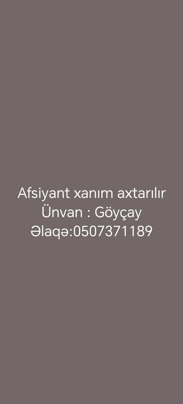 is elanlari ofisiant: Ofisiant tələb olunur, Kafe, Gündəlik ödəniş, 18-29 yaş, 1 ildən az təcrübə