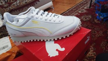 Kişi Geyimləri: Kambodjanin orginal 40 razmeri puma QR KODU VAR
