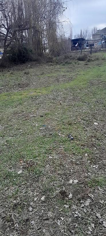 Torpaq sahələrinin satışı: Tikinti — 1