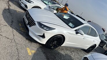 нексйа 2: Hyundai Sonata: 2019 г., 2 л, Типтроник, Газ, Седан