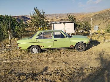 lider auto: Mercedes-Benz W123: 1982 г., 1.8 л, Механика, Бензин, Седан — 1