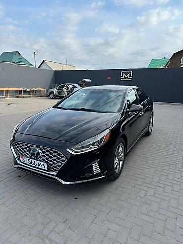 sonata 2009: Hyundai Sonata: 2019 г., 2.4 л, Автомат, Бензин, Седан — 6