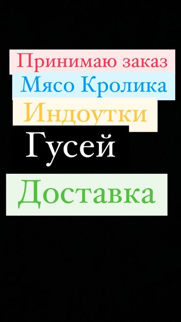 кролик рекс: Всегда свежее мясо
ОПТОМ ТОЖЕ ЕСТЬ