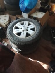 фотолампа каракол: Диска сатылат