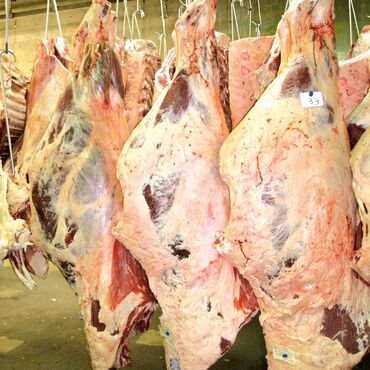 ротерная косилка: Говядина : Голень, Голова, Кишка, Более 10 кг, Антрекот, Самовывоз, Бесплатная доставка, Платная доставка