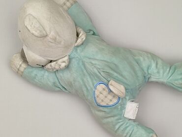 Mascot Teddy bear, condition - Very good