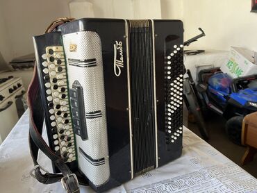 спортивный тренажёр: Баян «Тульский» (надпись «Тульск»/«Тульбо» на корпусе), классическая