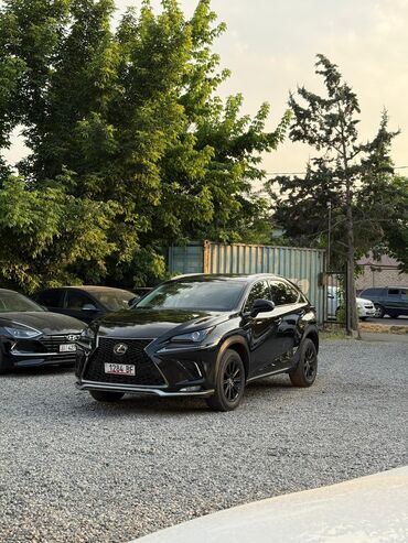 Lexus: Lexus NX: 2018 г., 2 л, Автомат, Бензин, Кроссовер