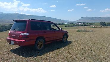 форестер матор: Subaru Forester: 2000 г., 2 л, Автомат, Бензин, Универсал — 2