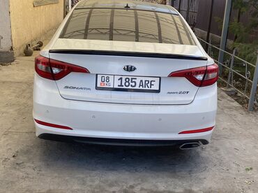 hyundai sonata 2009: Hyundai Sonata: 2016 г., 2 л, Автомат, Газ, Седан