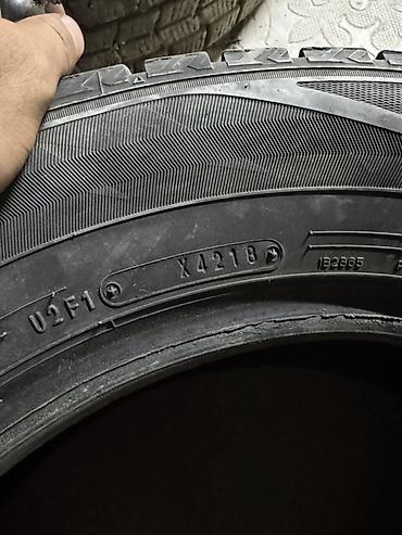 Шины: Зимние нешипованные шины Bridgestone Blizzak (серия Ice/DM, рисунок — 12