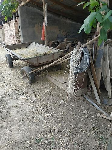 Прицепы и полуприцепы: Прицеп, Б/у — 2