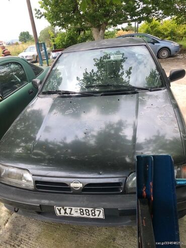 Transport: Nissan Primera : 1.6 l | 1993 year Limousine