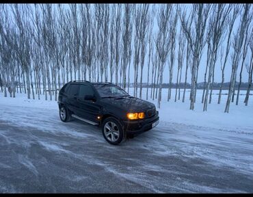 BMW: BMW X5: 2002 г., 3 л, Автомат, Дизель, Внедорожник — 13