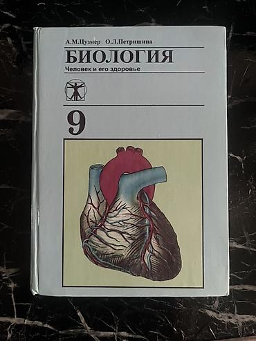 всадник: Школьные учебники: 1) Русский язык, 6 класс - Авторы: Л. М — 2