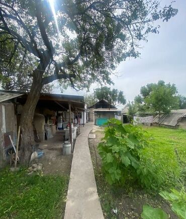 дом в районе пишпек: Дом, 100 м², 4 комнаты, Собственник, Косметический ремонт