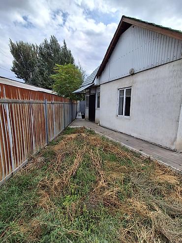 село садовая: Срочно продается дом в с. Маевка, ул. Школьная / переулок Веселый — 2