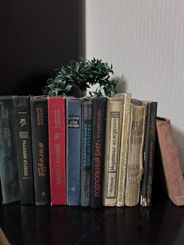 Lüğətlər: 125 shekil. Sola cevirin zehmet olmasa Kitab və dərs vəsaitləri paketi — 48