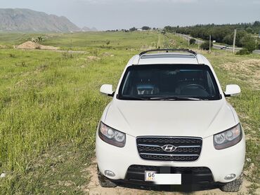 hyundai pony: Hyundai Santa Fe: 2008 г., 2.2 л, Автомат, Дизель, Минивэн