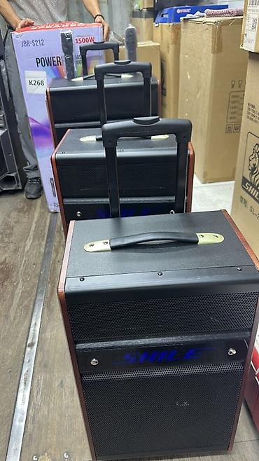 long stereo: Портативная акустическая система SHILE на колесиках с выдвижной — 1