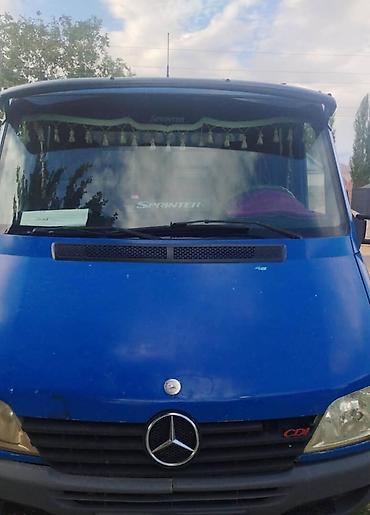дерево 210: Грузовик, Mercedes-Benz, Дубль, Б/у — 3