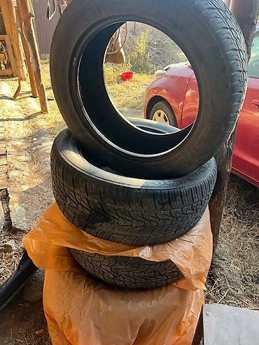 palisade r20: Комплект автопокрышек (4 шт.) - Размер: 285/50 R20 (маркировка на — 1