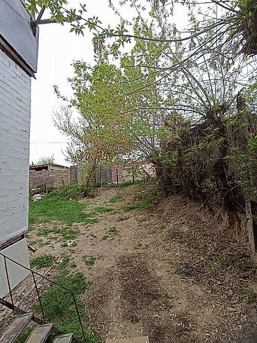 Продажа квартир: 2 комнаты, 48 м², 1 этаж, Косметический ремонт — 11